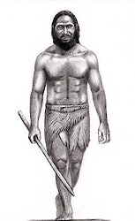 Chuchuna - Der sibirische Affenmensch